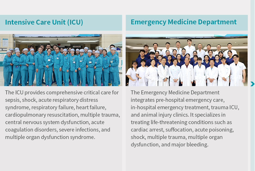 DEPT13